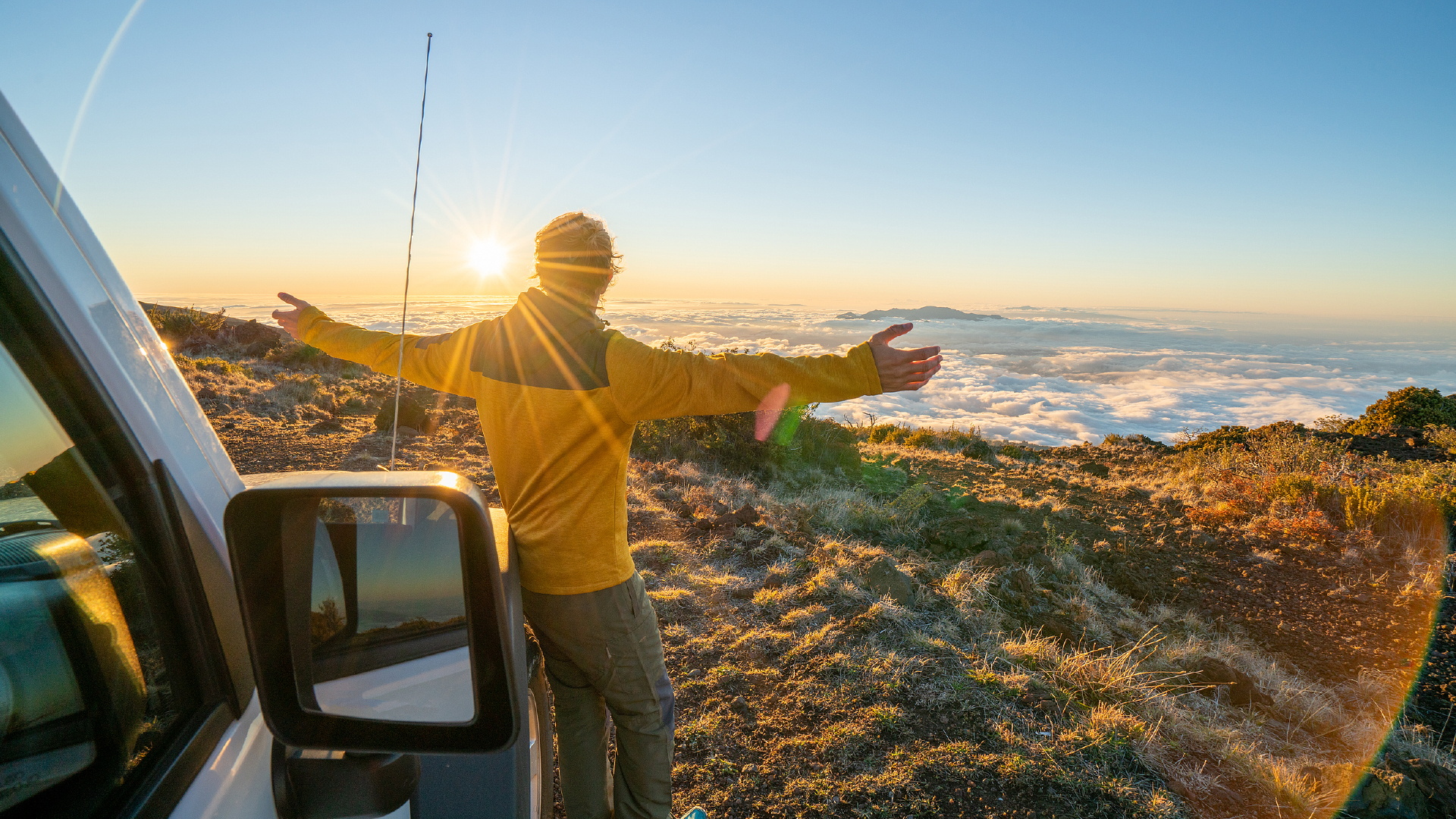 Explore the Dreamscape